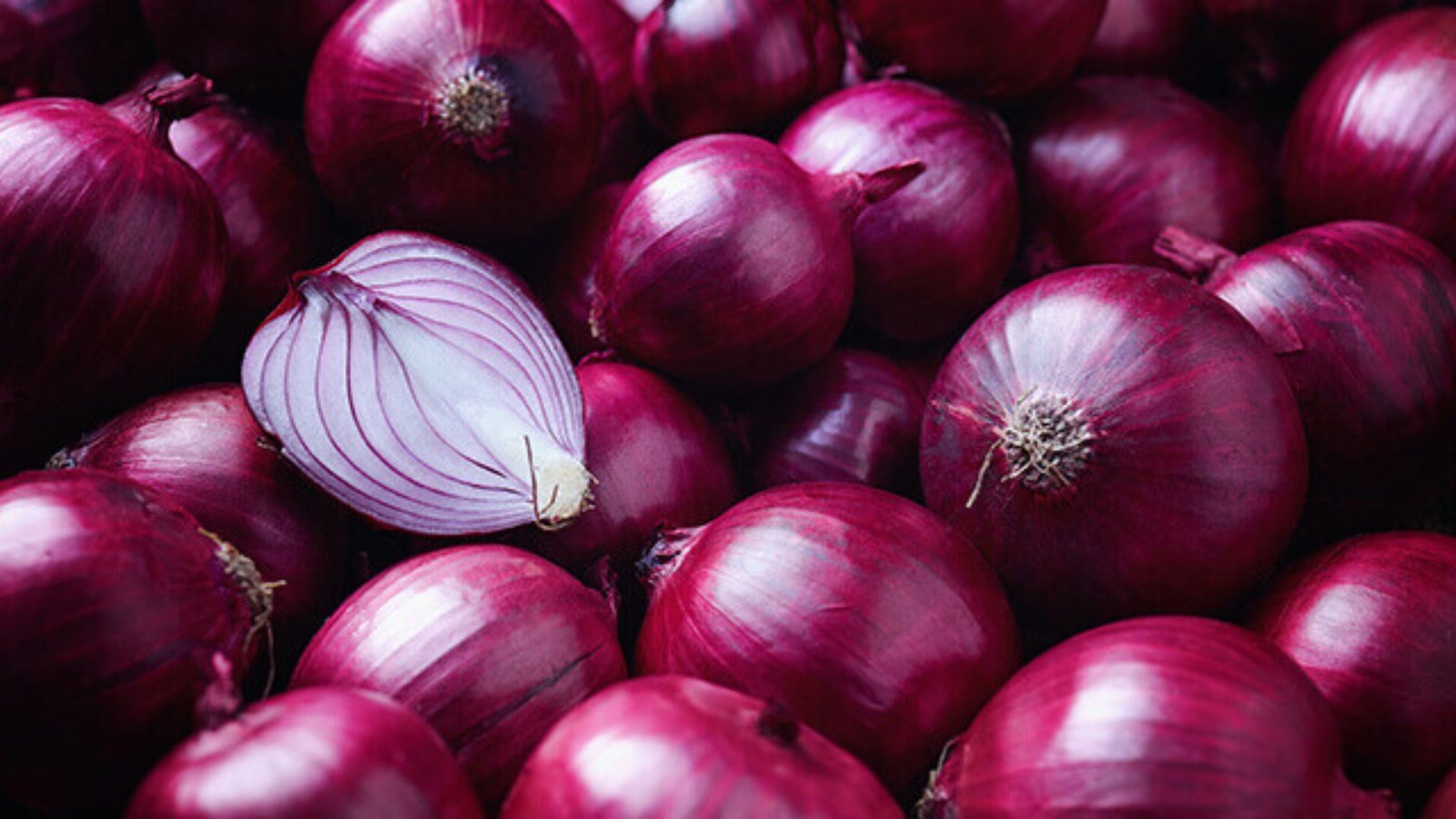 price increase for onions